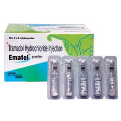 Next day pills com viagra online canada Next day pills com viagra online canada